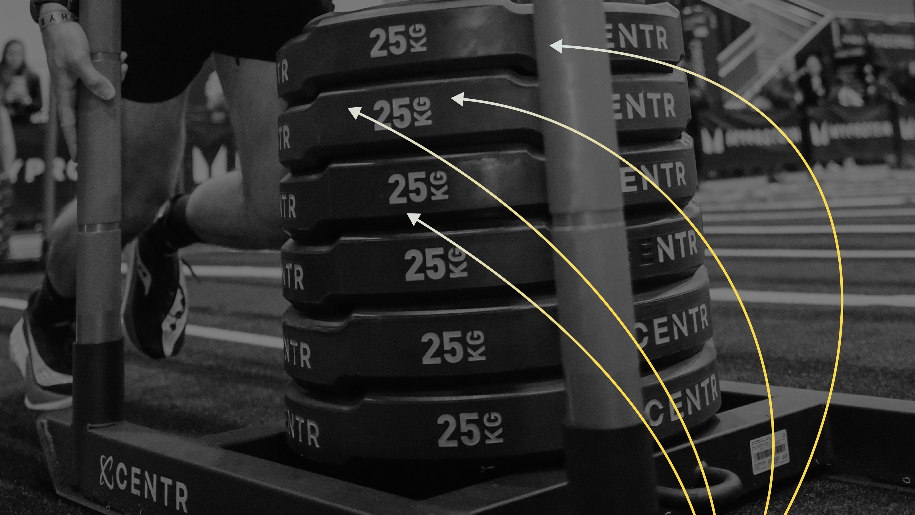 The Extra Lap No. 7: Sled Consistency?